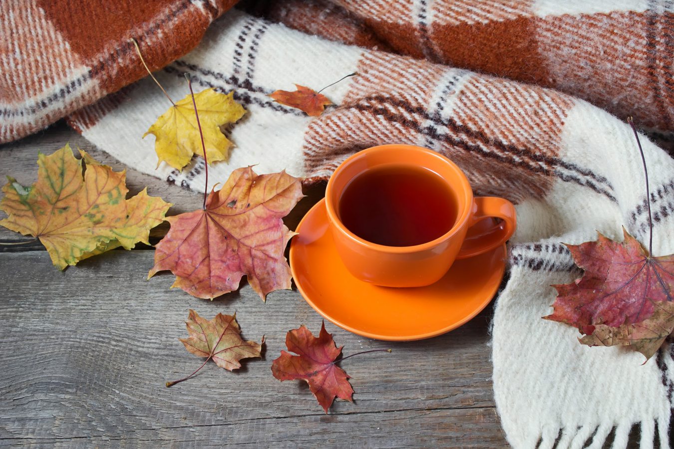 Осенний чай уют скатерть
